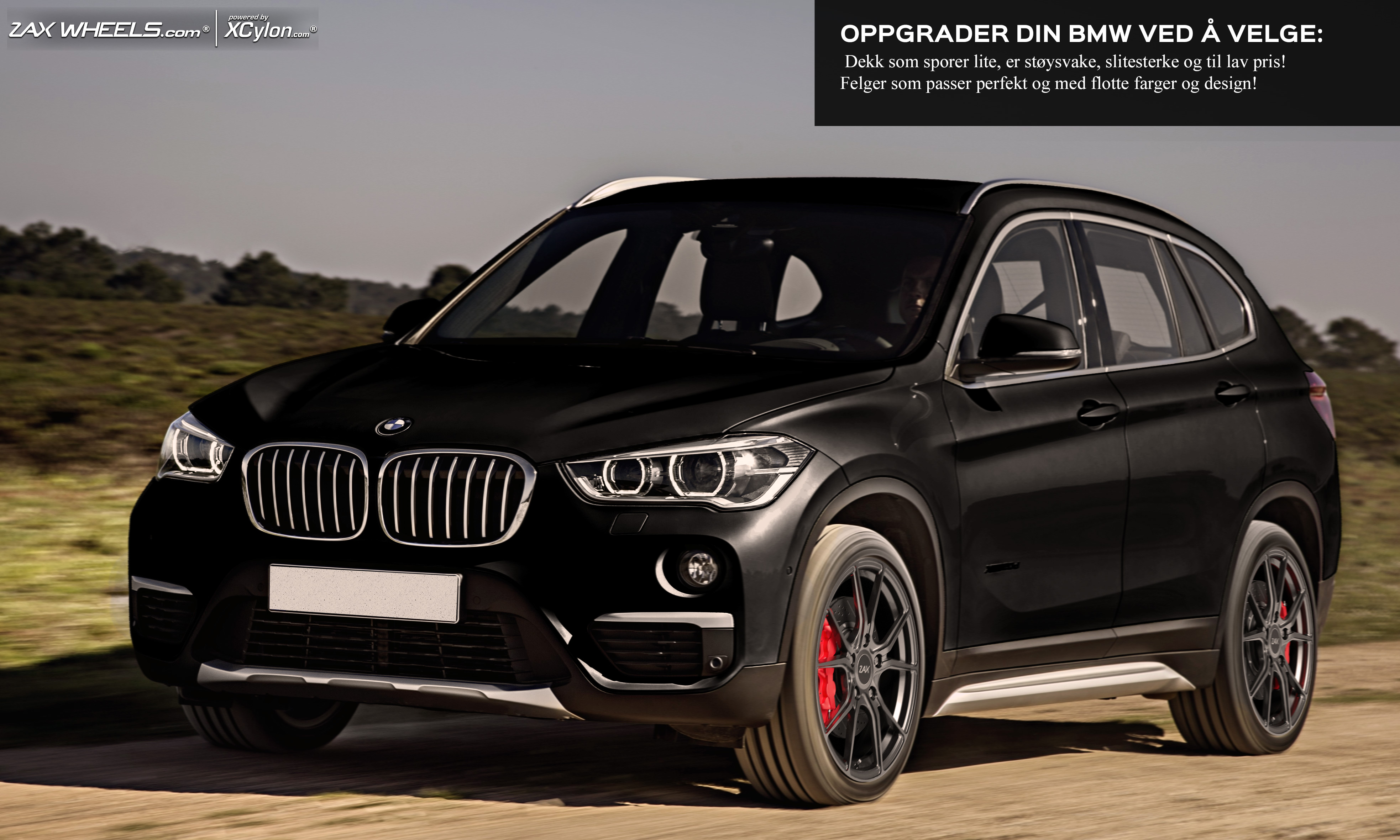 Антифриз bmw x1 f48